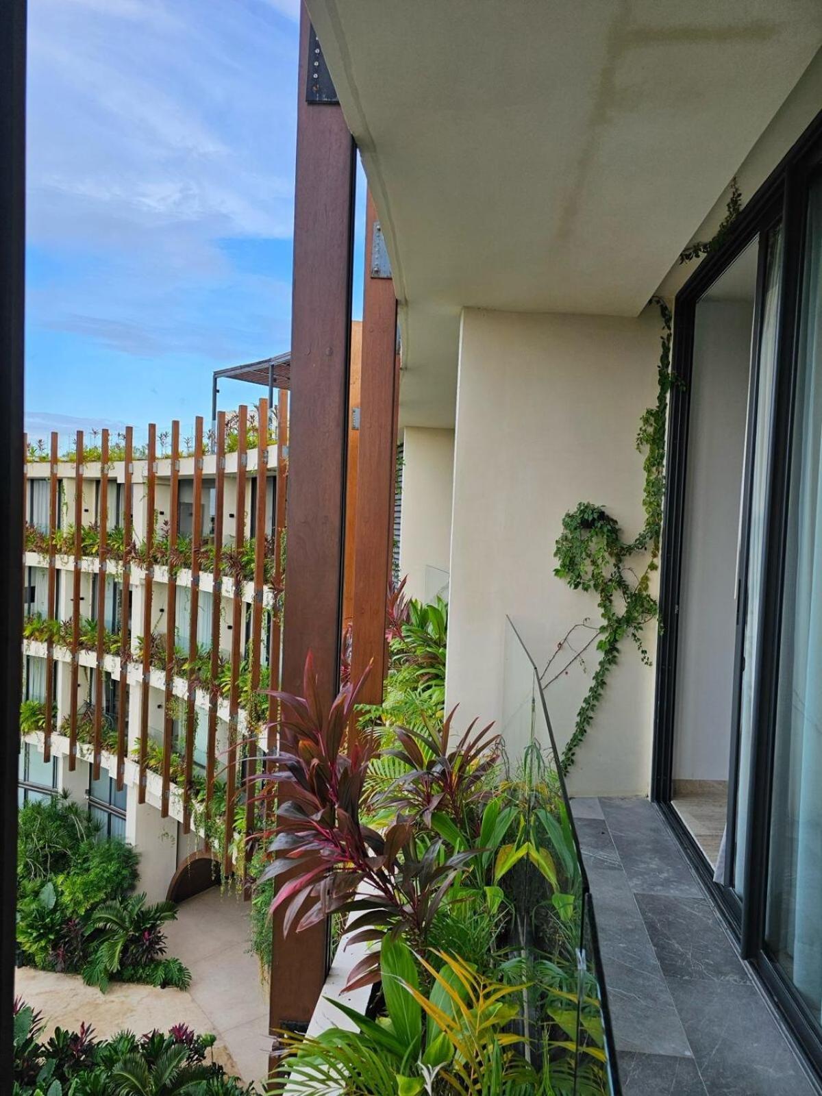 Apartment Jungle Serenity Getaway *